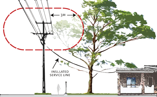 Image of distance between tree and powerlines