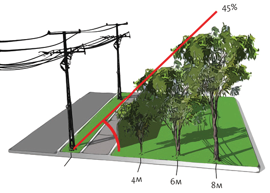 Image of safe distance front yard planting near powerlines