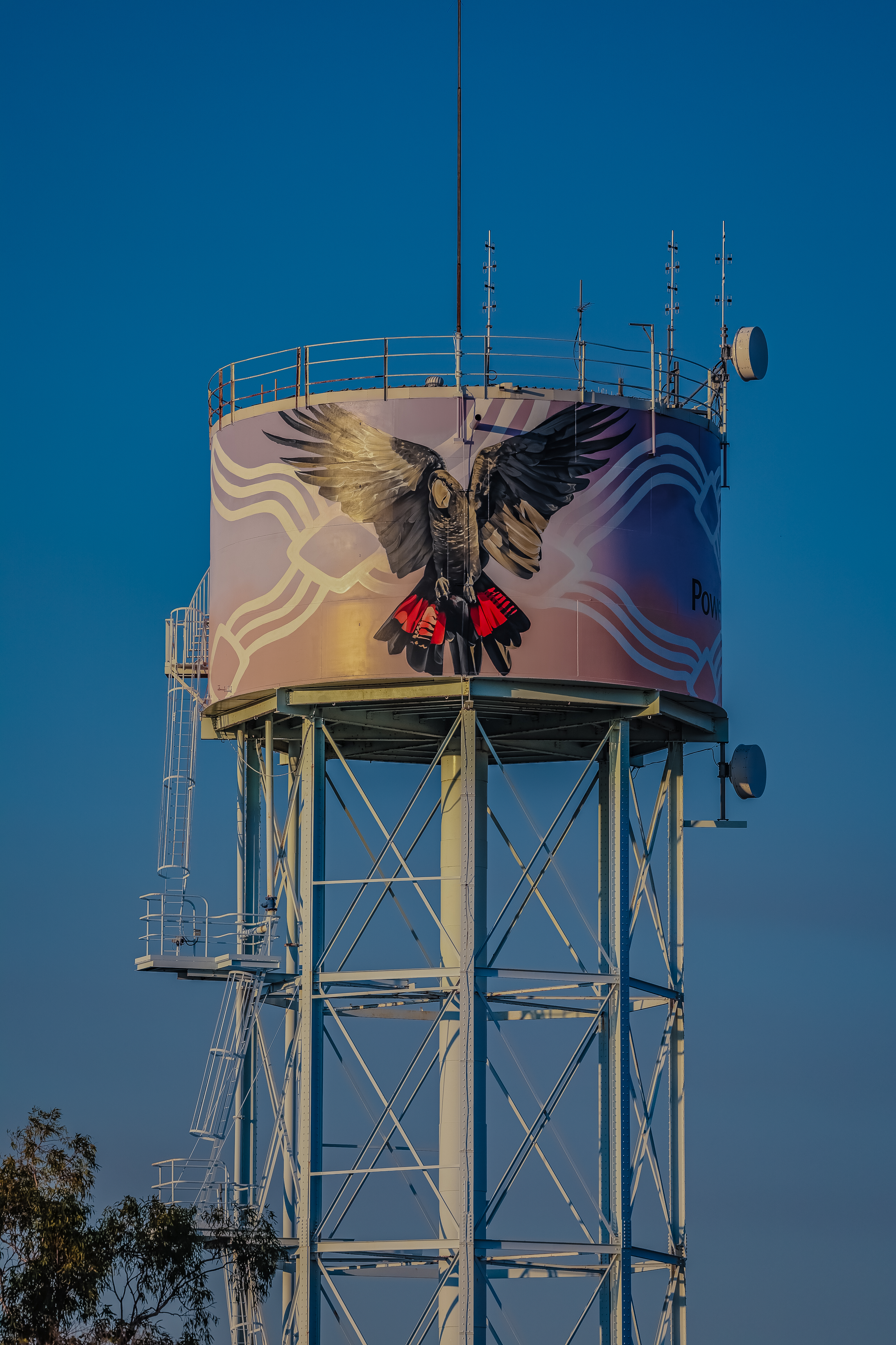 The ‘Bilawara (black cockatoo) on Larrakia Country’ 